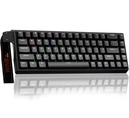 AULA WIN68 HE Magnetic Switch Keyboard - iPad Palestine